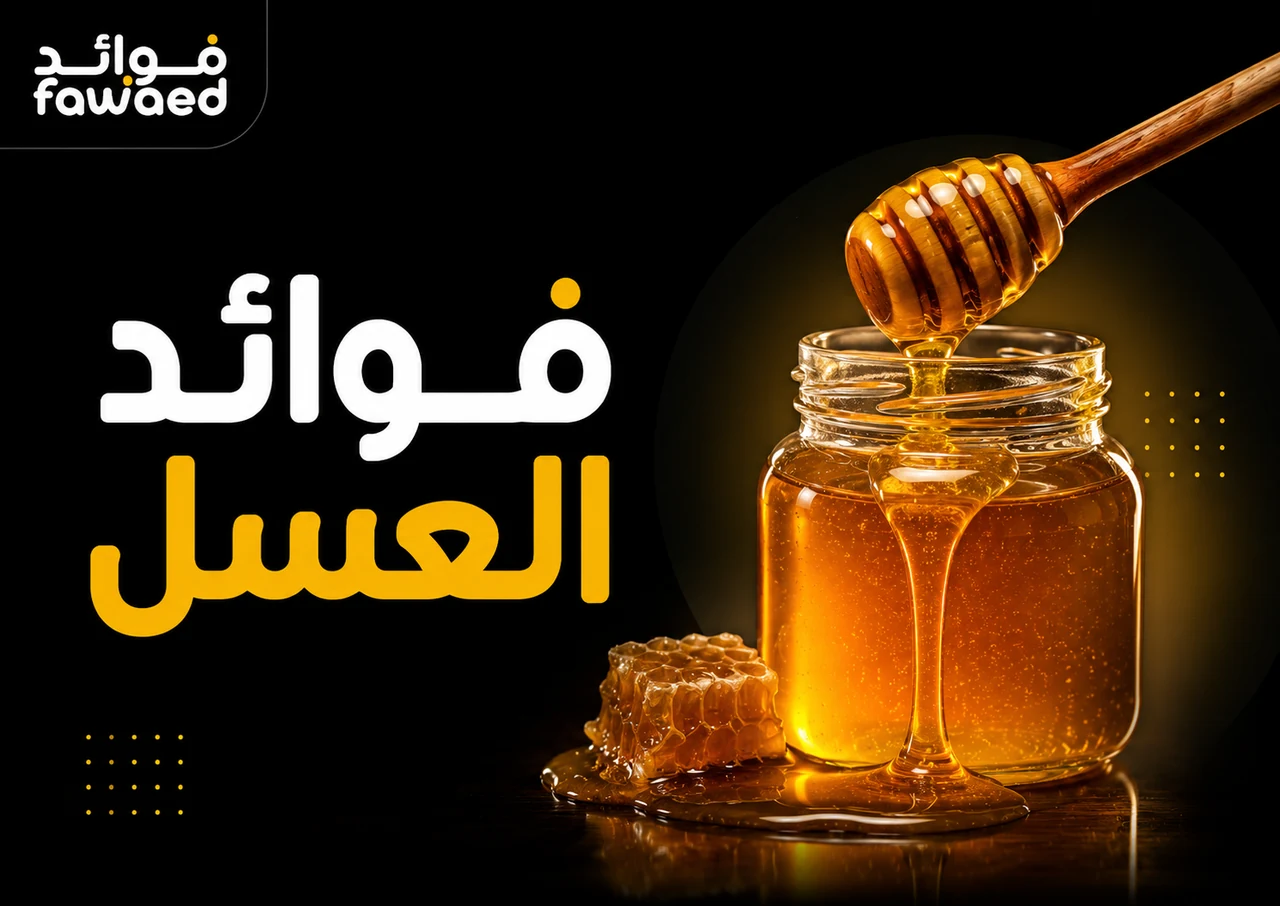 فوائد العسل: أهم الفوائد وطريقة الاستفادة بشكل عملي
