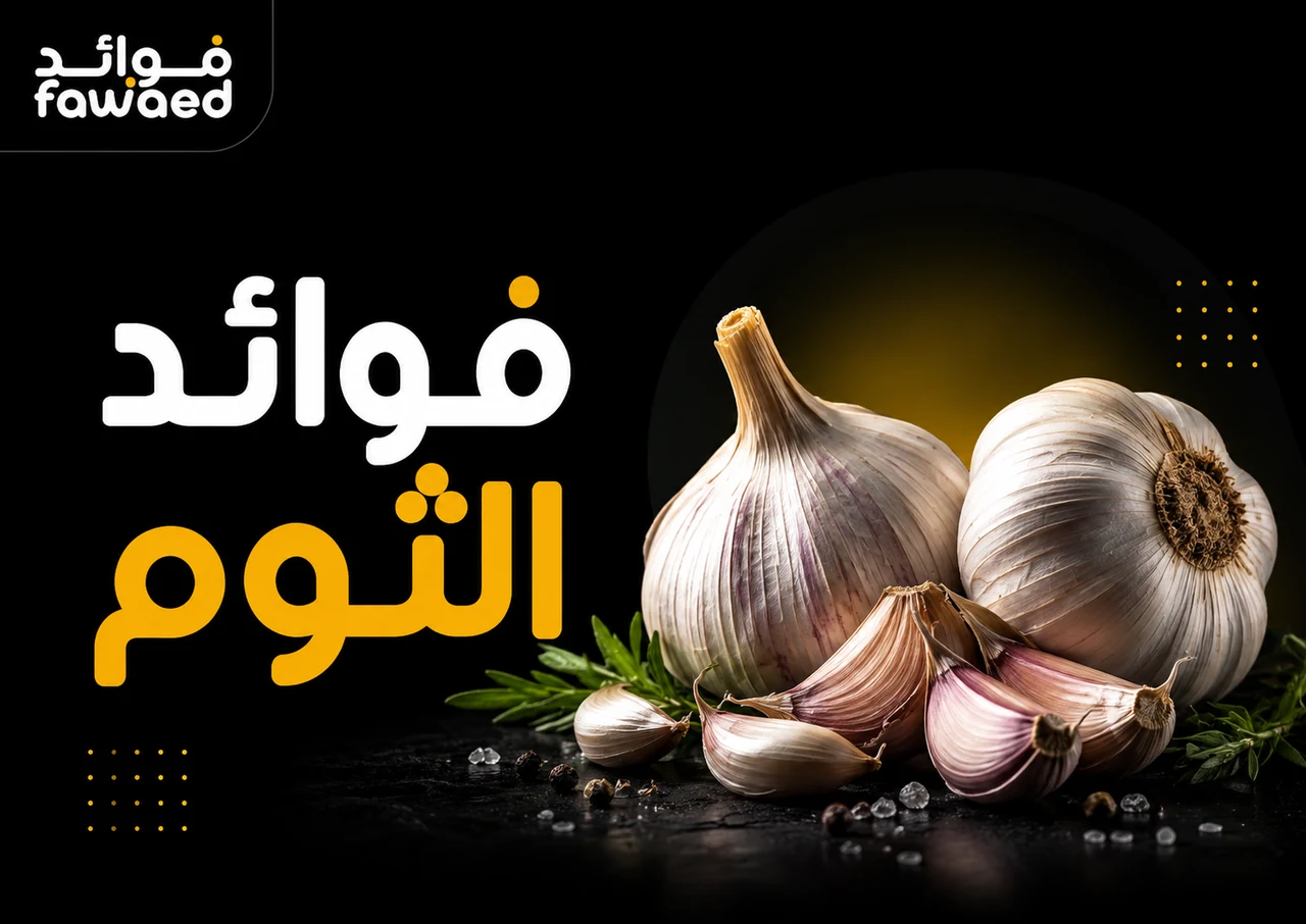 فوائد الثوم: أهم الفوائد وطريقة الاستفادة بشكل عملي